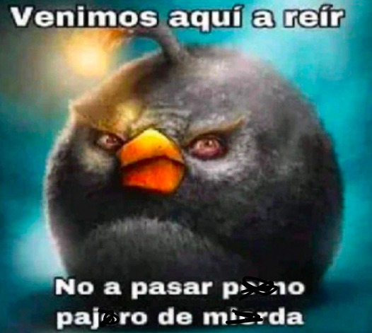 yo cada que entro a algun sitio de memes: