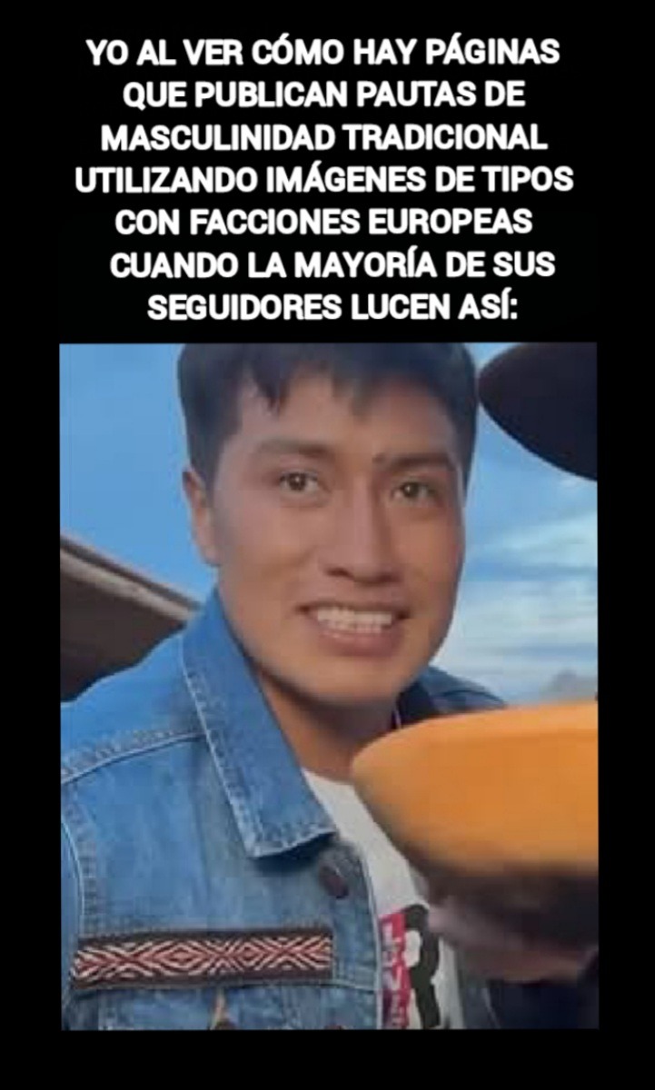 Y pensar que hay hartas publicaciones sobre como ser hombres tradicionales con rasgos nórdicos o mediterráneos y su público promedio luce así: - meme