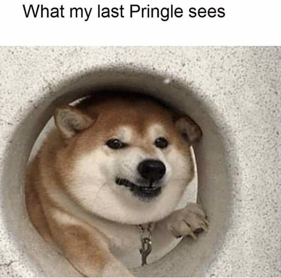 Last Pringle - meme