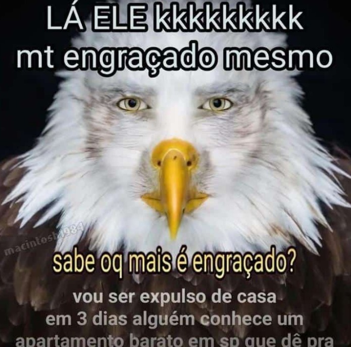 minha vez - Meme by Kaiser_Knez :) Memedroid