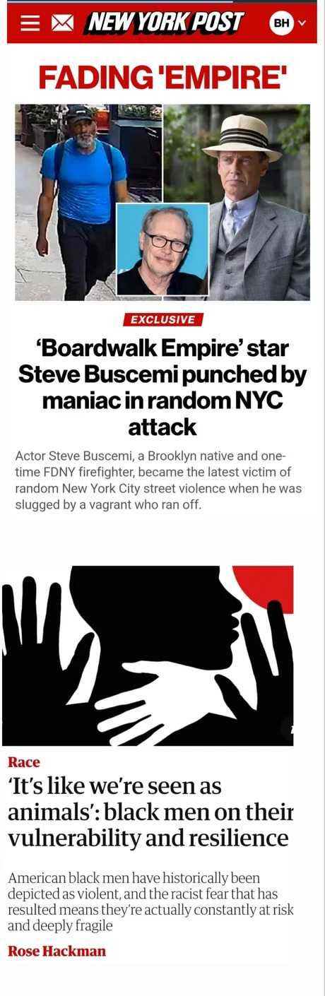 Steve Buscemi NYC attack meme