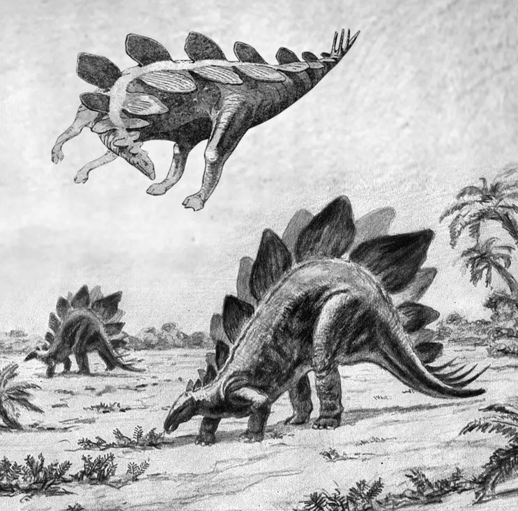 Sabían que los Stegosaurus volaban? - meme