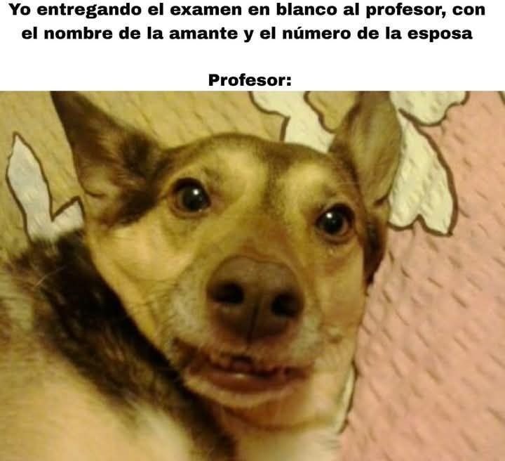 Le entregué el examen en blanco pero con el chisme completo - meme