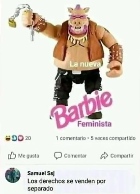 Meme Barbies feministas X femininas