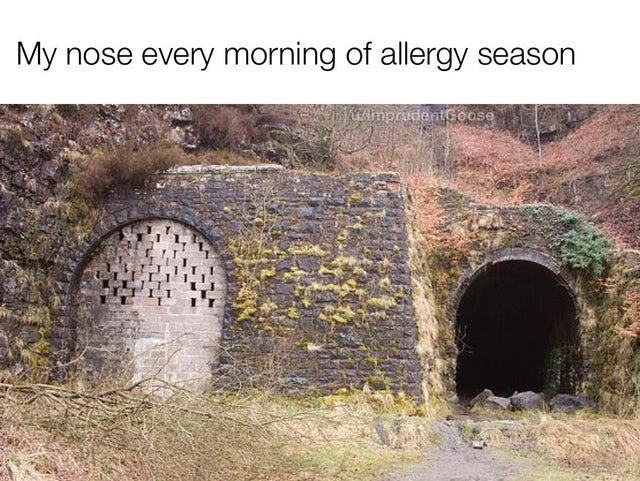 Allergy. - meme