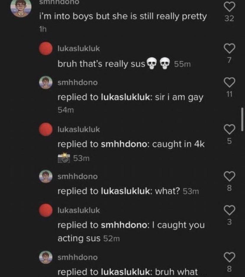tiktok user discovers gay people actually exist - meme