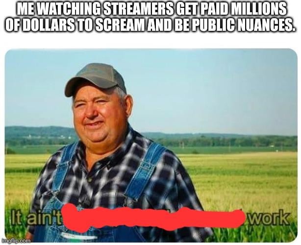 not work allowed in streams - meme