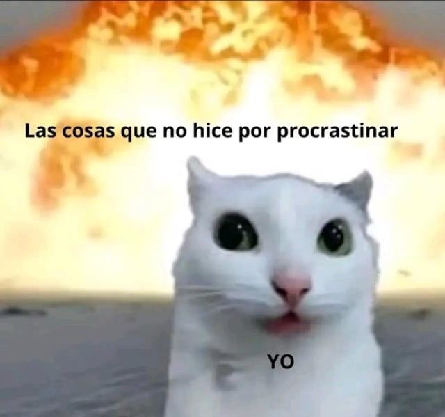 Todo lo que no logré por seguir dándole a 'luego lo hago' - meme