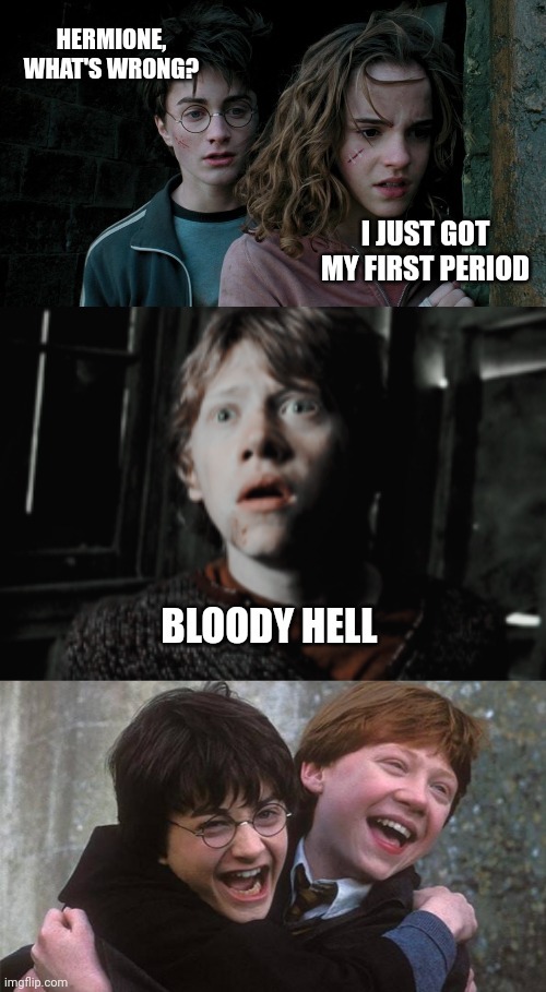 harry potter and hermione Memes & GIFs - Imgflip