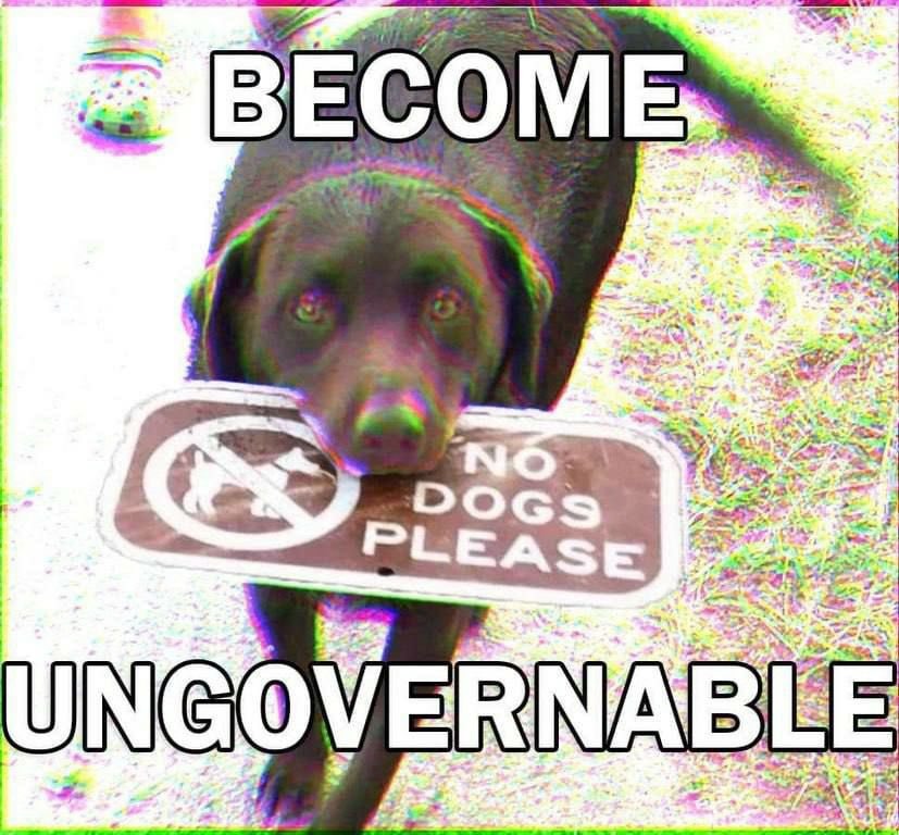 Dogs on an insurrection - meme