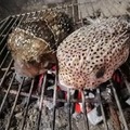 commented item thumbnail