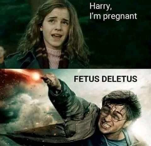 Yeeeeeeeeetus the fetus!!!!! - meme