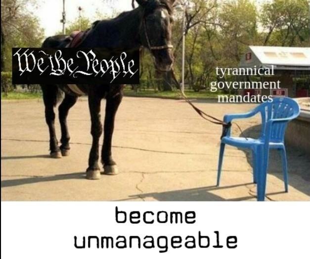 Become Unmanageable - meme