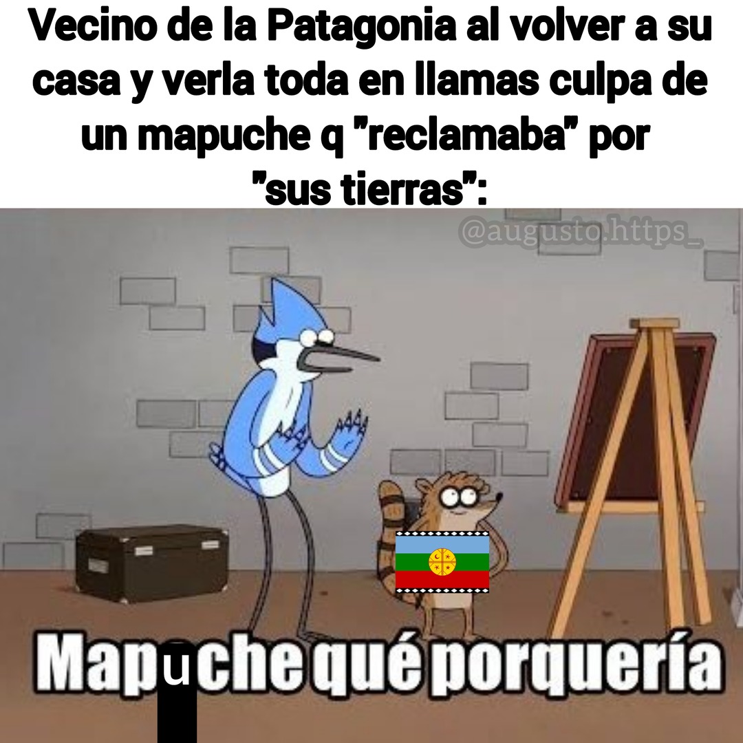 Mapuche que porquería xdxd - meme