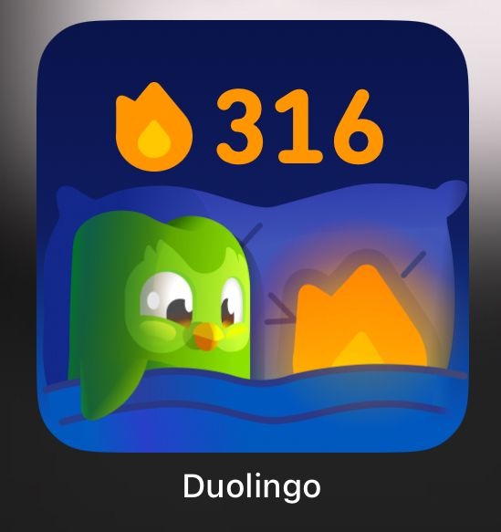 Duolingo nooooo - meme