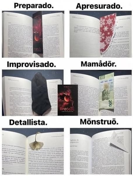 tipos de persona según el tipo de marcapáginas - meme