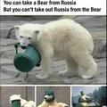 Russia bear