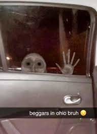 Oh hell naw only in Ohio Dawg! - meme