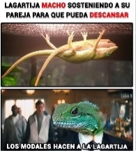 El respost hace al memedroider :son: