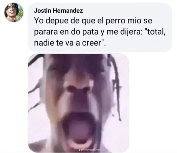 Fin. - meme