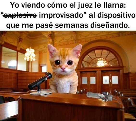 El juez llamando bomba casera a mi obra maestra - meme
