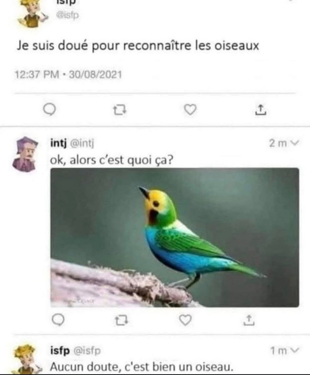 Oiseau détecté 100% - meme