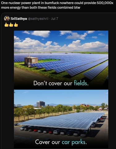I disregard anyone who claims to be an environmentalist and yet is anti-nuclear - meme