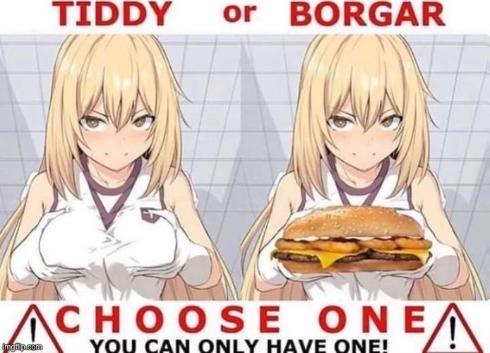 Tiddy or borgar - meme