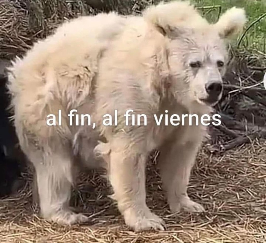 al fin viernes :G - meme
