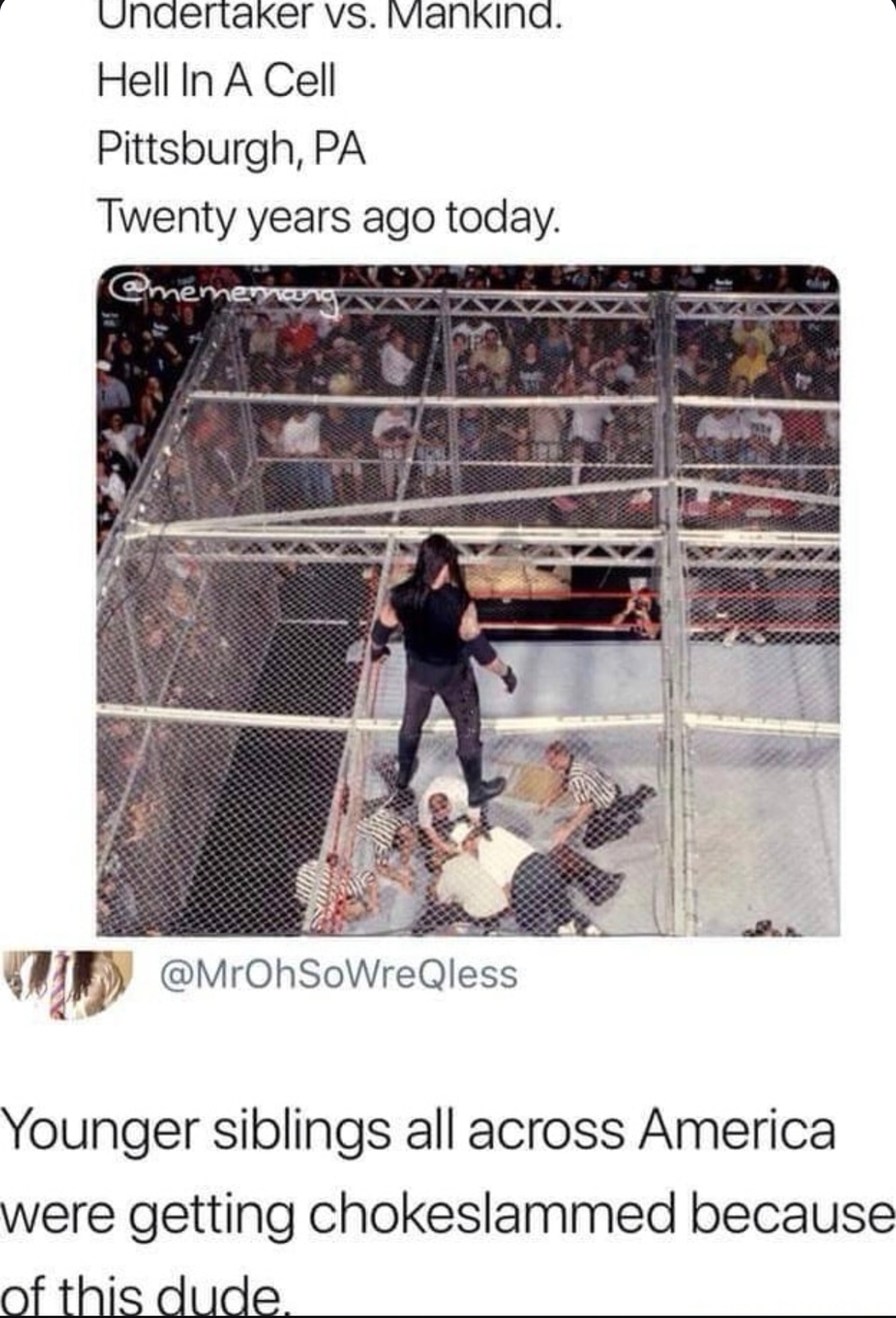 This match made every little brother in 2005 a WWE casualty - meme
