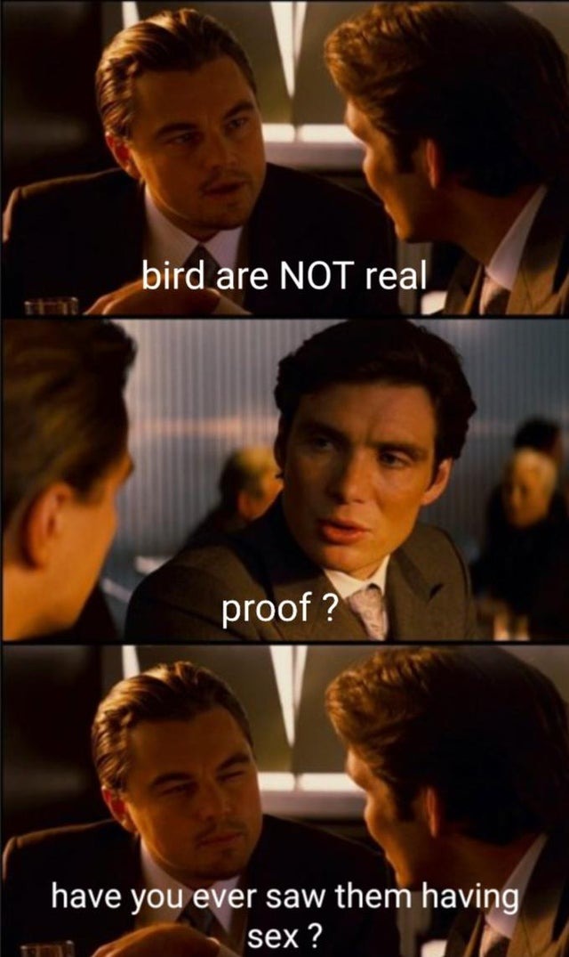 Have you ever seen birds having sex? - meme