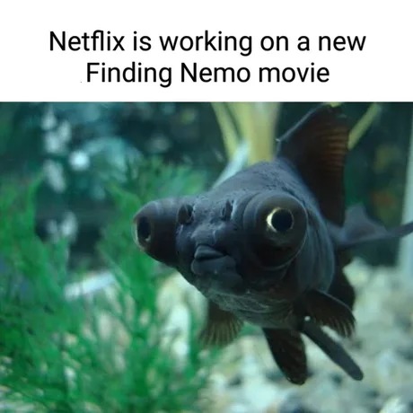 Finding Nemo Netflix movie - meme