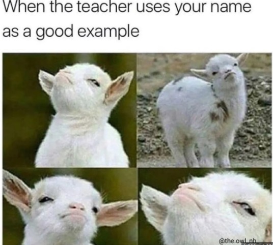 how it feels like when the teacher uses your name - meme