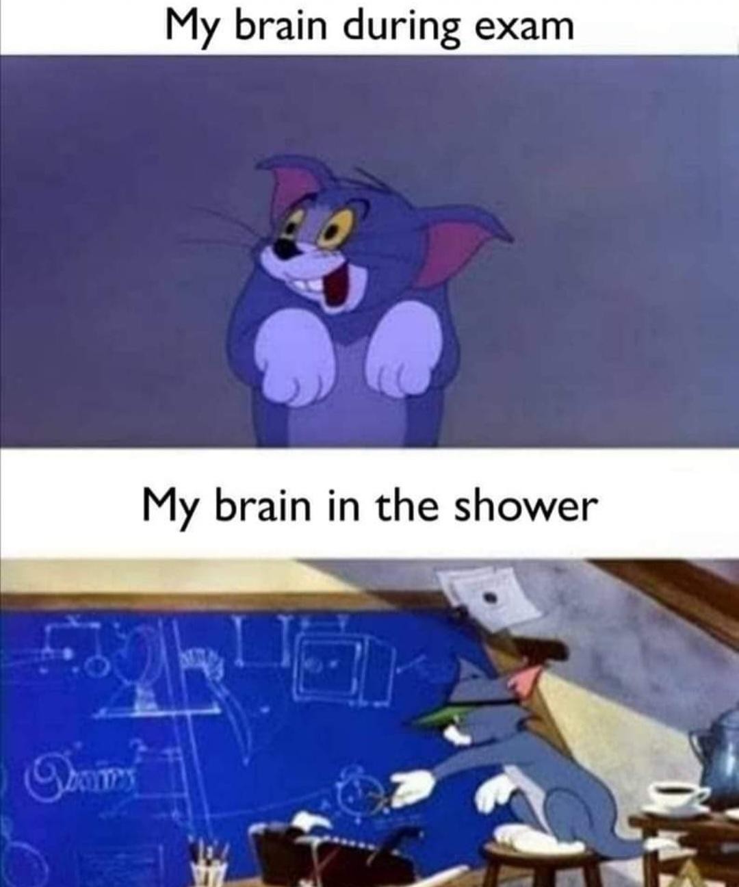 Brain problems - meme
