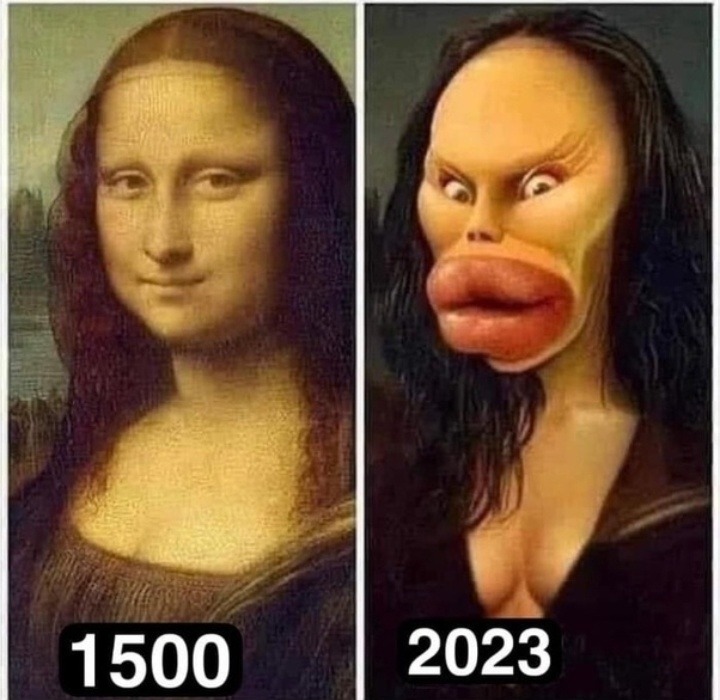 Moaner lisa - meme