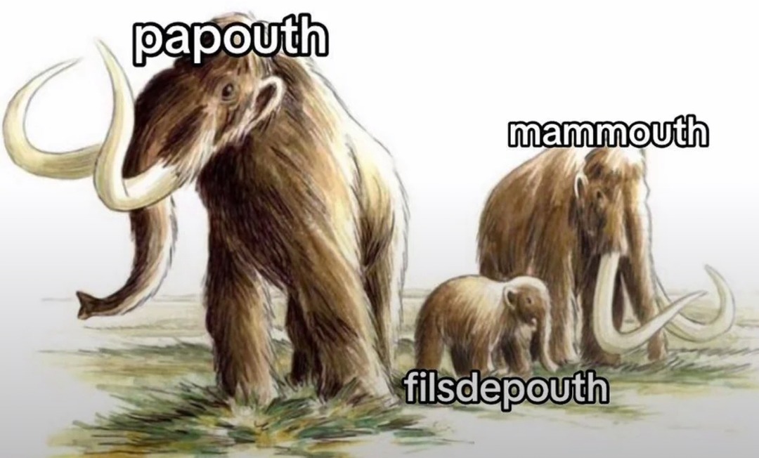 Papouth et Mammouth, meme familial