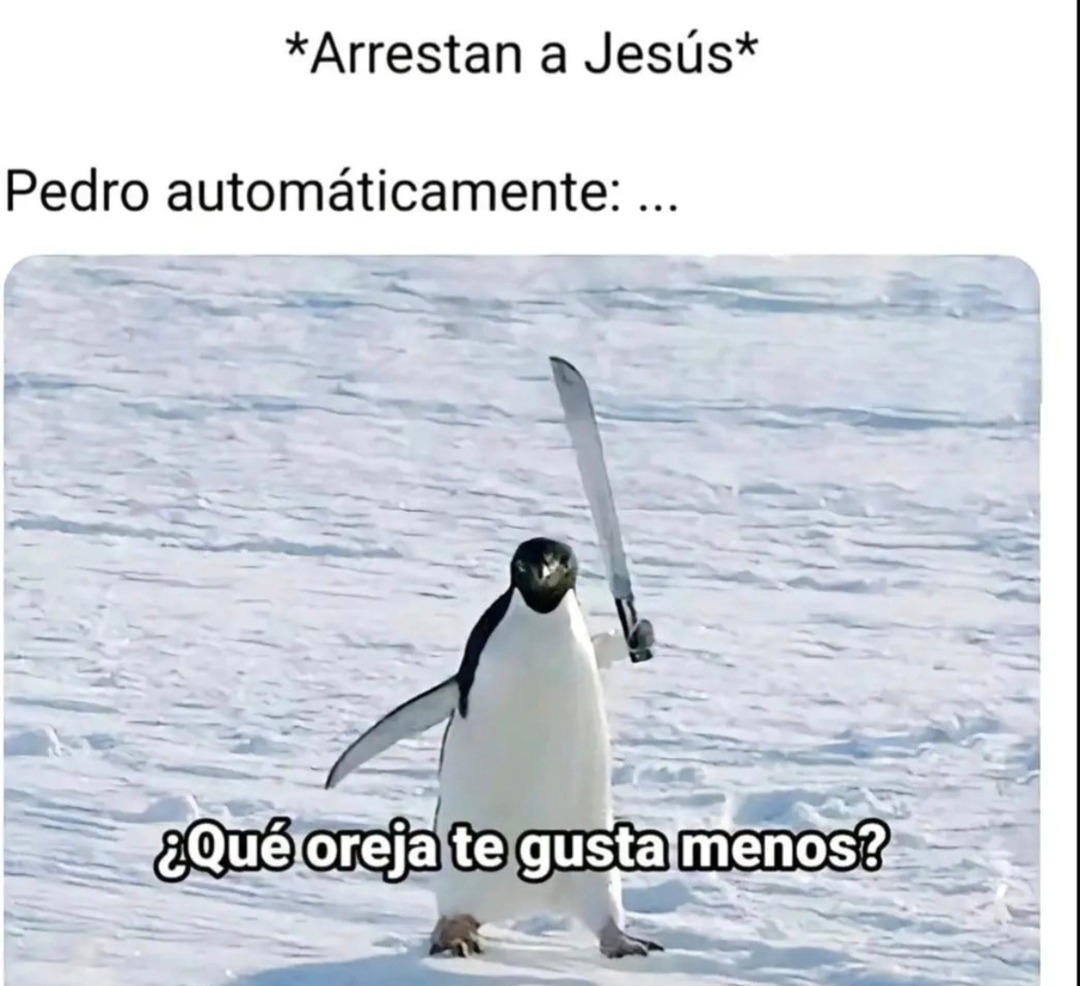 Arrestan a Jesús y Pedro automáticamente: ¿Qué oreja te gusta menos? - meme