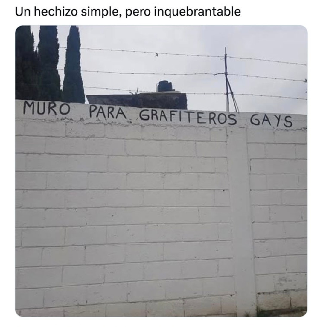 Un muro anti grafiteros nivel hechizo legendario - meme
