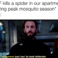 mosquito defender