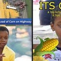 Its corn
