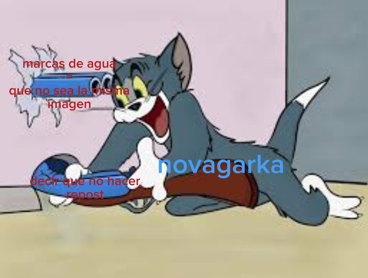Novagarka - meme