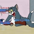 Novagarka