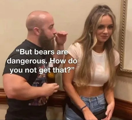 But bears are dangerous - meme