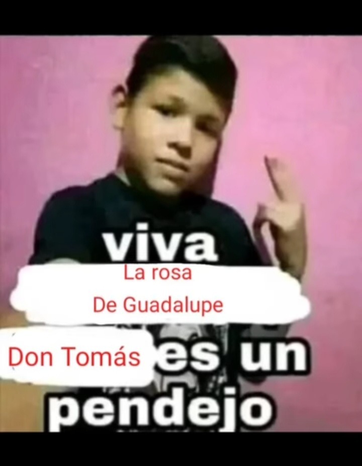 lrdg pa xdd - meme