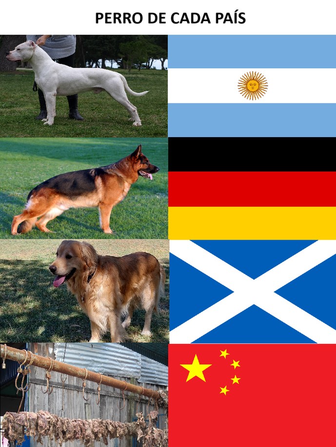 Meme de mierda