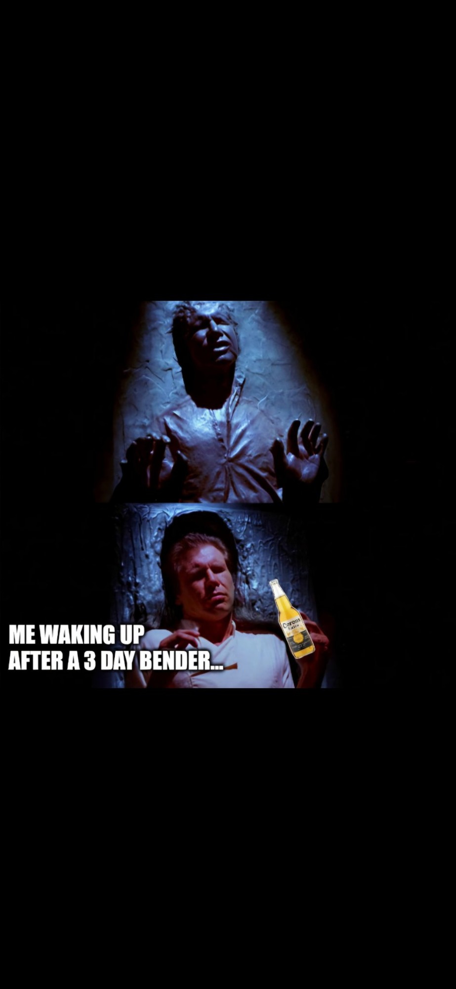 Me after a 3 day bender... - meme