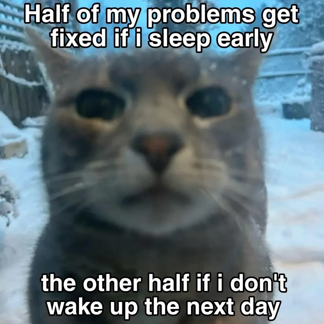 True - meme