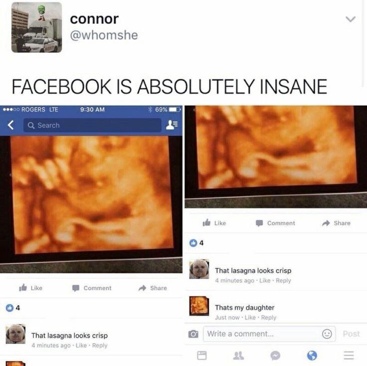 lasagna chaos on facebook - meme