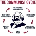 The cycle