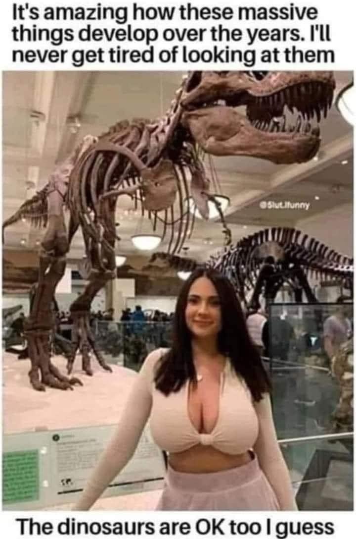 I think we all know why i posted this. I love dinosaurs. - meme